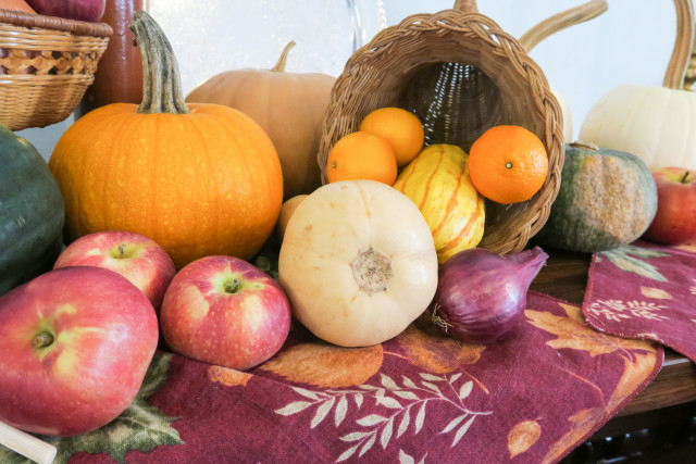 Cornucopia with apples, gourds, squashes, pumpkins