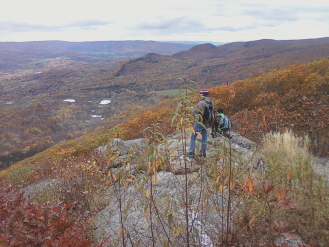 greylock-glen-bushwack-october-2014_02