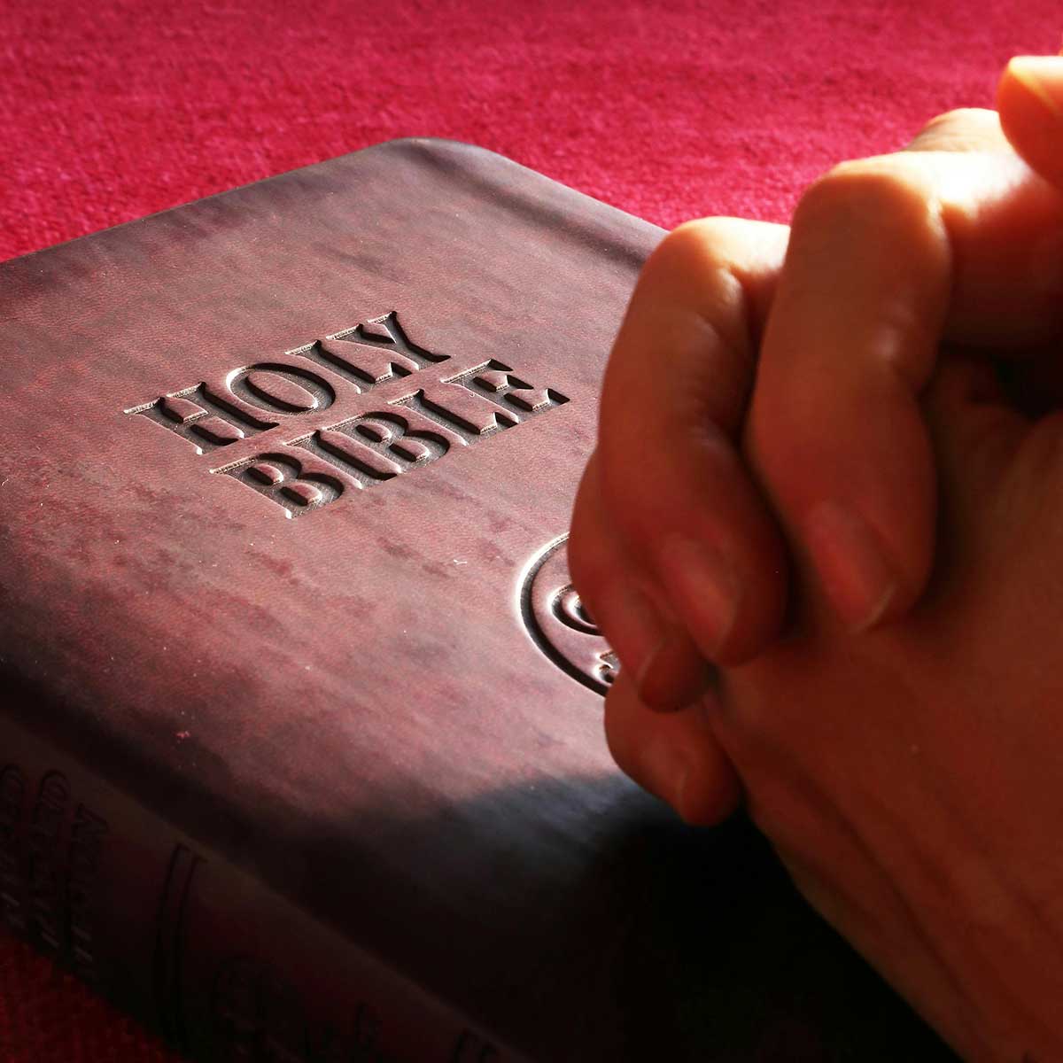 holy bible